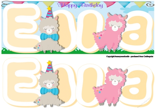 Llama Birthday large Dl 3d decoupage - Ella