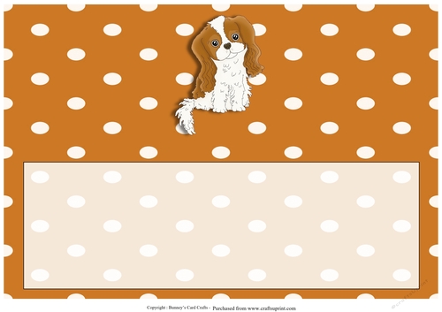 King Charles Spaniel Birthday Lrge Dl Insert