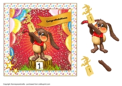 Congratulations Birthday Card, decoupage, quick card