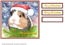 Guinea pig Christmas Card