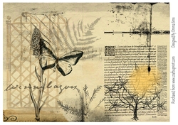 Vintage Butterfly Background Medley
