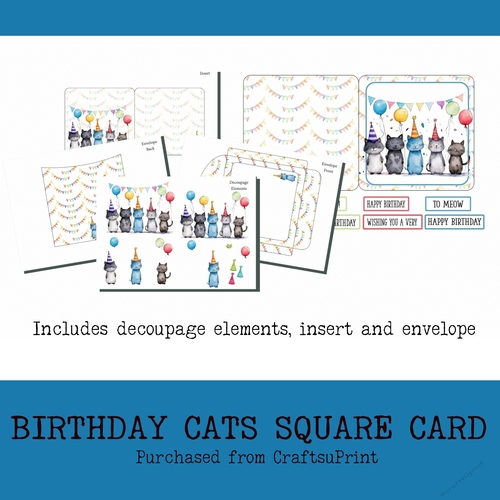 Birthday Kitty Cats