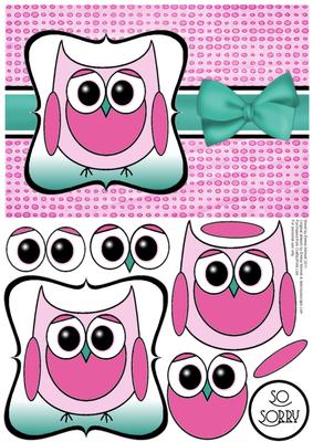Cute Owl Sorry Decoupage Card Front - Pink & Teal