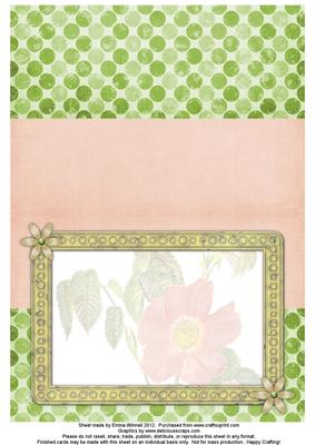 Dog Rose Watercolour Insert - Coral Pink & Pistachio