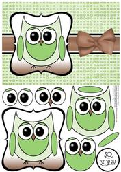 Cute Owl Sorry Decoupage Card Front - Brown & Pistachio