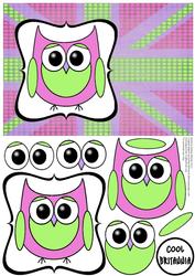 Cute Owl Gb Decoupage Card - Lime & Pink