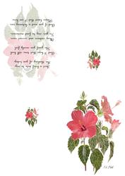 Hibiscus Watercolour Print & Fold Card - Sympathy