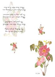 Dog Rose Watercolour Print & Fold Card - Sympathy