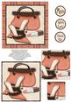 Sophisticated Shoes, Handbag and Lipstick Pyramage - Peach