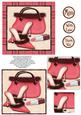 Sophisticated Shoes, Handbag and Lipstick Pyramage - Salmon