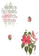 Hibiscus Watercolour Print & Fold Card - Sympathy