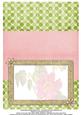 Dog Rose Watercolour Insert - Soft Pink & Pistachio