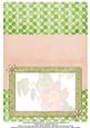 Dog Rose Watercolour Insert - Coral Pink & Pistachio