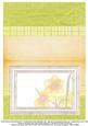 Daffodil Insert 1 - Peach & Pistachio