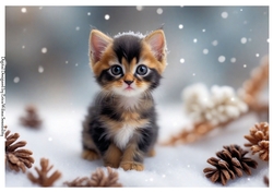 EW A4 Cats 03 (winter)