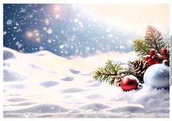 EW A4 Xmas 29