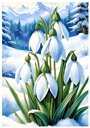EW A4 Flower 26