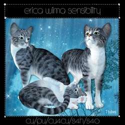 EW Cats 01