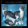 EW Cats 01