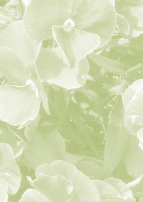 Green Pansy Vellum