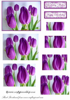 Purple Tulips Pyramid