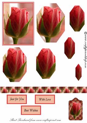 Pink Roses Pyramid