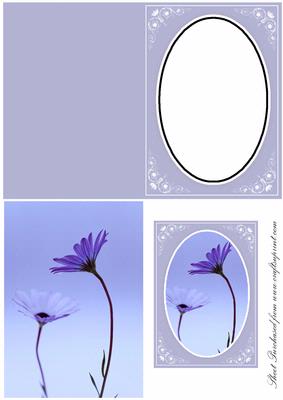 Floral Window Sheet 1