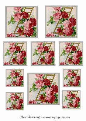 Ladder of Roses