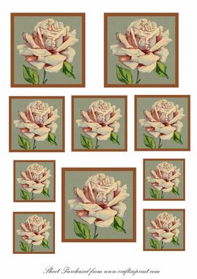Pale Rose Toppers