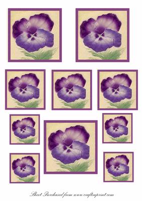 Pansy Toppers