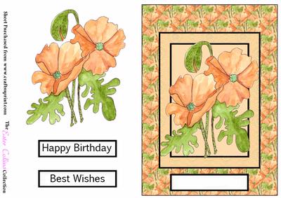 Peach Floral Card Front