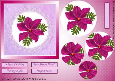 Cerise Flower on Lace Circle Pyramage Card
