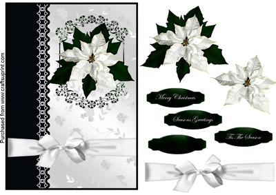 White Christmas Flower