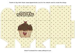 Chocolate Cupcake Pinch Bag/box