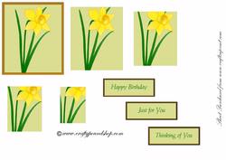 March Daffodil Pyramid