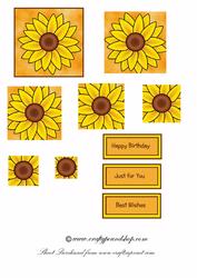 Sunflower Pyramid