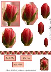 Pink Roses Pyramid