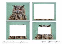 Owl Inverted Pyramid