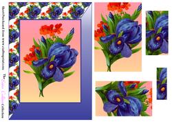 Iris Pyramid Card Front