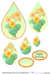 Nasturtium Teardrop Pyramid