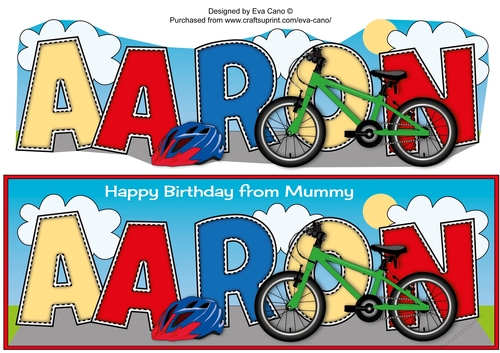 Childrens Bicycle AARON large dl