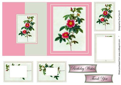 Pink Vintage Rose Fold Back