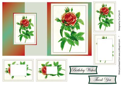 Red Vintage Rose Fold Back