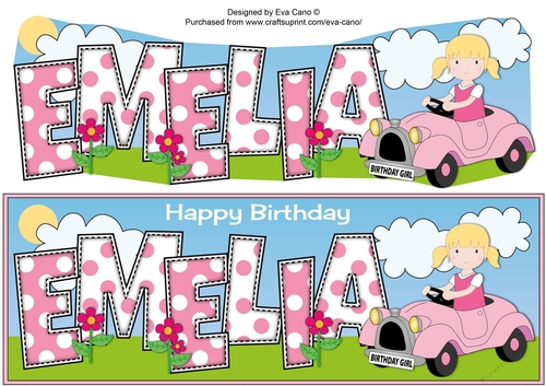 Little Driver with Pink Car EMELIA large dl