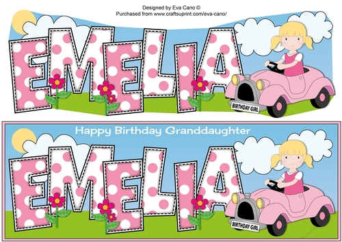 Little Driver with Pink Car EMELIA granddaughter large dl