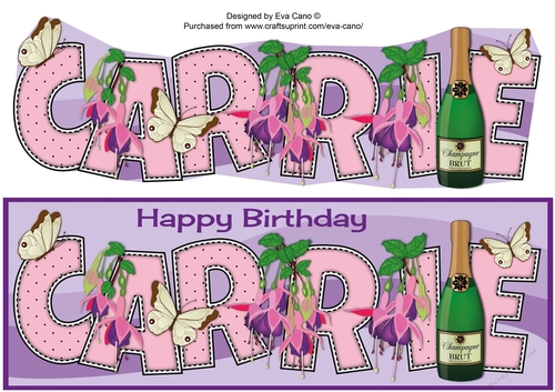 Champagne, Fuchsias & Butterflies CARRIE large dl