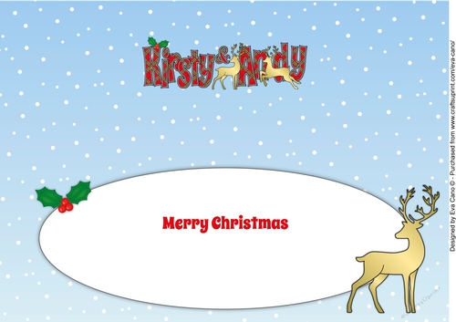 Christmas Reindeers KIRSTY & ANDY large dl insert