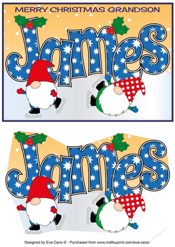Christmas Gnome ice skating grandson JAMES A5