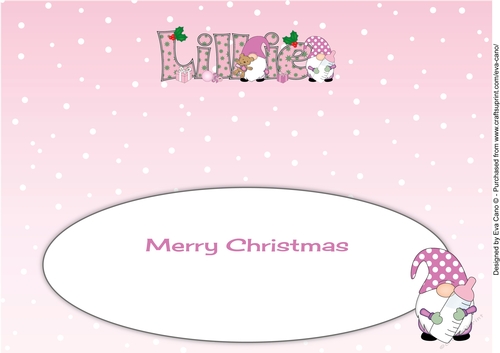 Christmas Gnomes with baby bottle LILLIE large dl insert