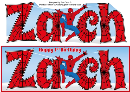 Spiderman ZACH 1st large dl